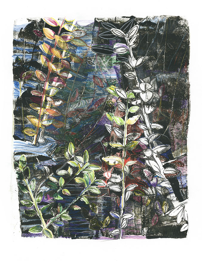 Waterplanten monotype by © Hilde Hoekstra Dutch art gelliprint drawing